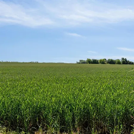 Matthias - 300m From The Sea By Interhome Nyaraló Bogense