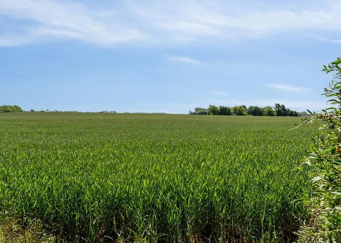 Matthias - 300m From The Sea By Interhome Dom wakacyjny Bogense